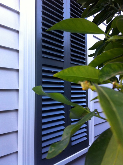 Norman Shutter Images 6 content