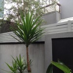 privacy screens 60mm fence grey